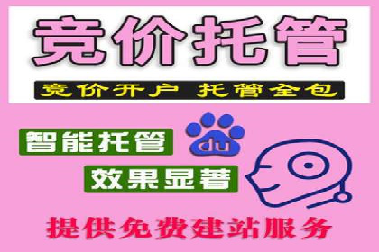 百度推广平台在旅游行业的应用案例